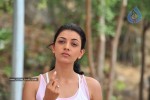 Kajal Photos - 35 of 60
