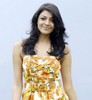 Kajal Agarwal Photos  - 11 of 24