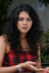 Kamna Jethmalani New Stills - 4 of 64