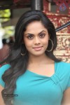 Karthika Nair Photos - 76 of 86