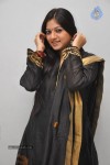 Keerthi Chawla Photos - 18 of 30