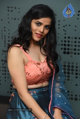 Kriti Garg Photos - 20 of 21