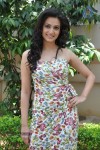 Kriti Kharbanda Hot Photos - 28 of 87