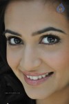 Kriti Kharbanda Hot Photos - 37 of 87