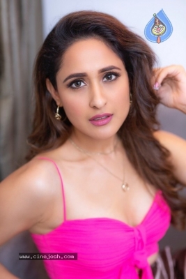 Latest Pictures of Pragya Jaiswal - 3 of 15