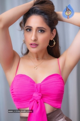 Latest Pictures of Pragya Jaiswal - 14 of 15