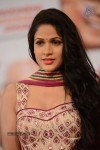 Lavanya Tripathi Pics - 37 of 55