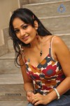 Madhavi Latha Latest Photos - 61 of 60