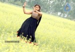 Madhu Sharma Latest Gallery - 1 of 41