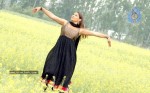 Madhu Sharma Latest Gallery - 3 of 41