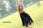 Madhu Sharma Latest Gallery - 5 of 41