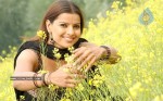 Madhu Sharma Latest Gallery - 8 of 41