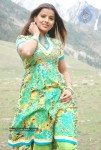 Madhu Sharma Latest Gallery - 14 of 41