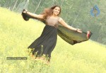 Madhu Sharma Latest Gallery - 15 of 41