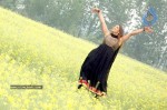 Madhu Sharma Latest Gallery - 18 of 41