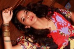 Manchu Lakshmi Prasanna Photos - 67 of 71