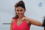 Manjari - Inkosari Movie - 248 of 272