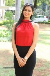 Meenakshi Dixit New Photos - 44 of 100