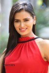 Meenakshi Dixit New Photos - 81 of 100