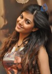 Meera Chopra New Stills - 21 of 39