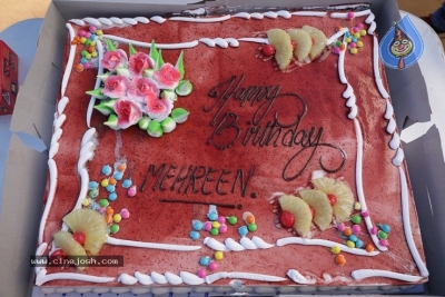 Mehreen Birthday Celebration Stills - 9 of 17