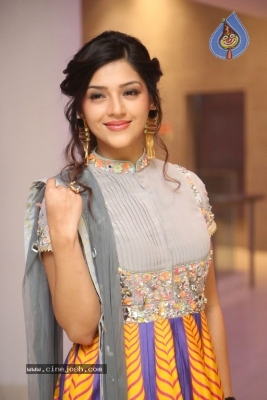 Mehreen Kaur Pirzada Gallery - 1 of 21