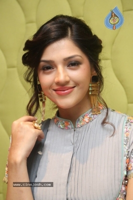 Mehreen Kaur Pirzada Gallery - 6 of 21