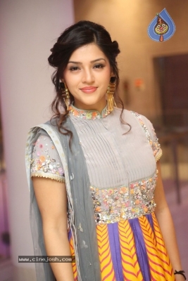 Mehreen Kaur Pirzada Gallery - 16 of 21