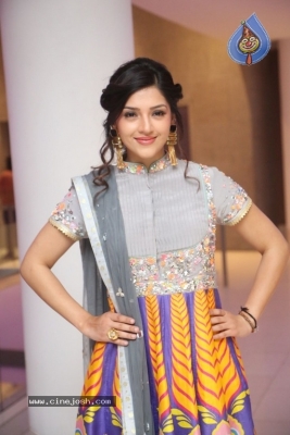 Mehreen Kaur Pirzada Gallery - 19 of 21