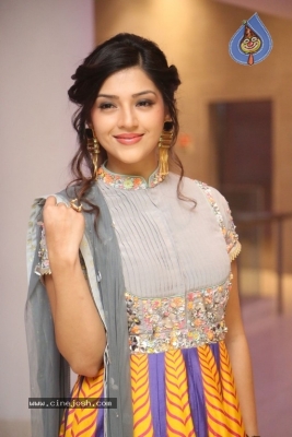 Mehreen Kaur Pirzada Gallery - 20 of 21