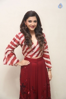 Mehreen Kaur Pirzada New Photos - 17 of 20