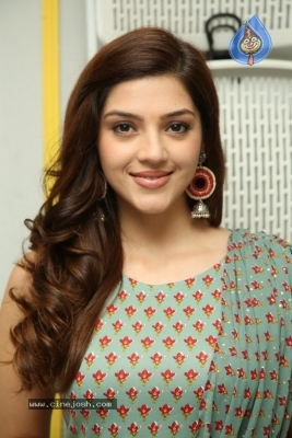 Mehreen Pirzada Photos - 3 of 18