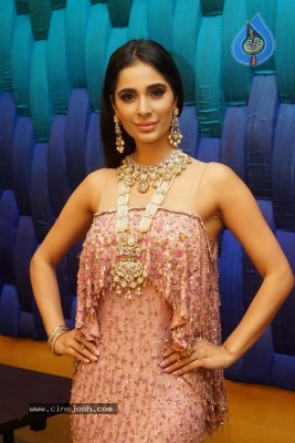 Model Alankrita Sahai New Pics - 4 of 12