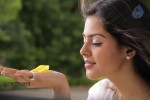 Monal Gajjar New Gallery - 6 of 50