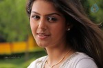 Monal Gajjar New Gallery - 13 of 50