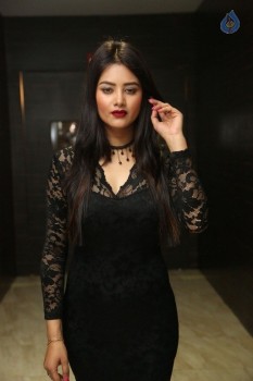 Monika Singh Latest Photos - 10 of 52