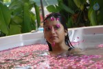 Monika Singh Latest Stills - 47 of 50