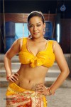 Mumaith Khan Spicy Stills In Sarai Veerraj - 7 of 61
