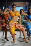 Mumaith Khan Spicy Stills In Sarai Veerraj - 23 of 61
