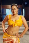 Mumaith Khan Spicy Stills In Sarai Veerraj - 39 of 61
