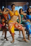 Mumaith Khan Spicy Stills In Sarai Veerraj - 40 of 61