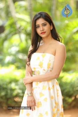 Nabha Natesh Images - 17 of 41