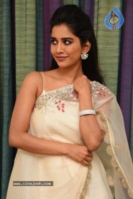 Nabha Natesh New Photos - 13 of 21