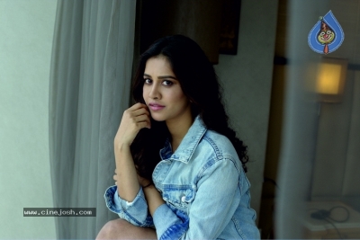 Nabha Natesh Photoshoot - 1 of 4