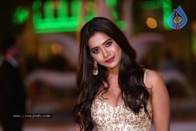 Nabha Natesh Pics From SIIMA Event 2018 - 6 of 7