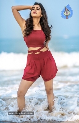 Nabha Natesh Stills In Beach - 3 of 4