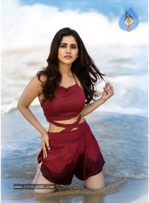 Nabha Natesh Stills In Beach - 4 of 4