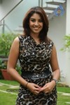 Nagavalli Movie Actress Pics - 16 of 22
