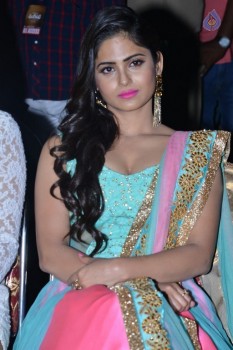 Naina Ganguly at Vangaveeti Audio Launch - 40 of 41