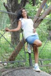 Nakshatra New Photos - 20 of 45